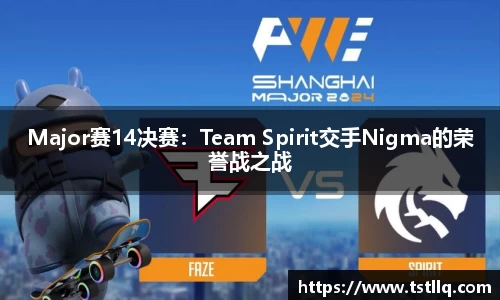 Major赛14决赛：Team Spirit交手Nigma的荣誉战之战